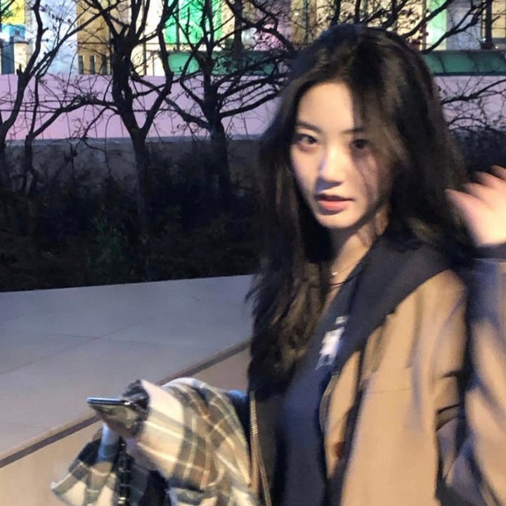 唐老鸭的罪行